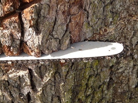 Cordless Chainsaws
